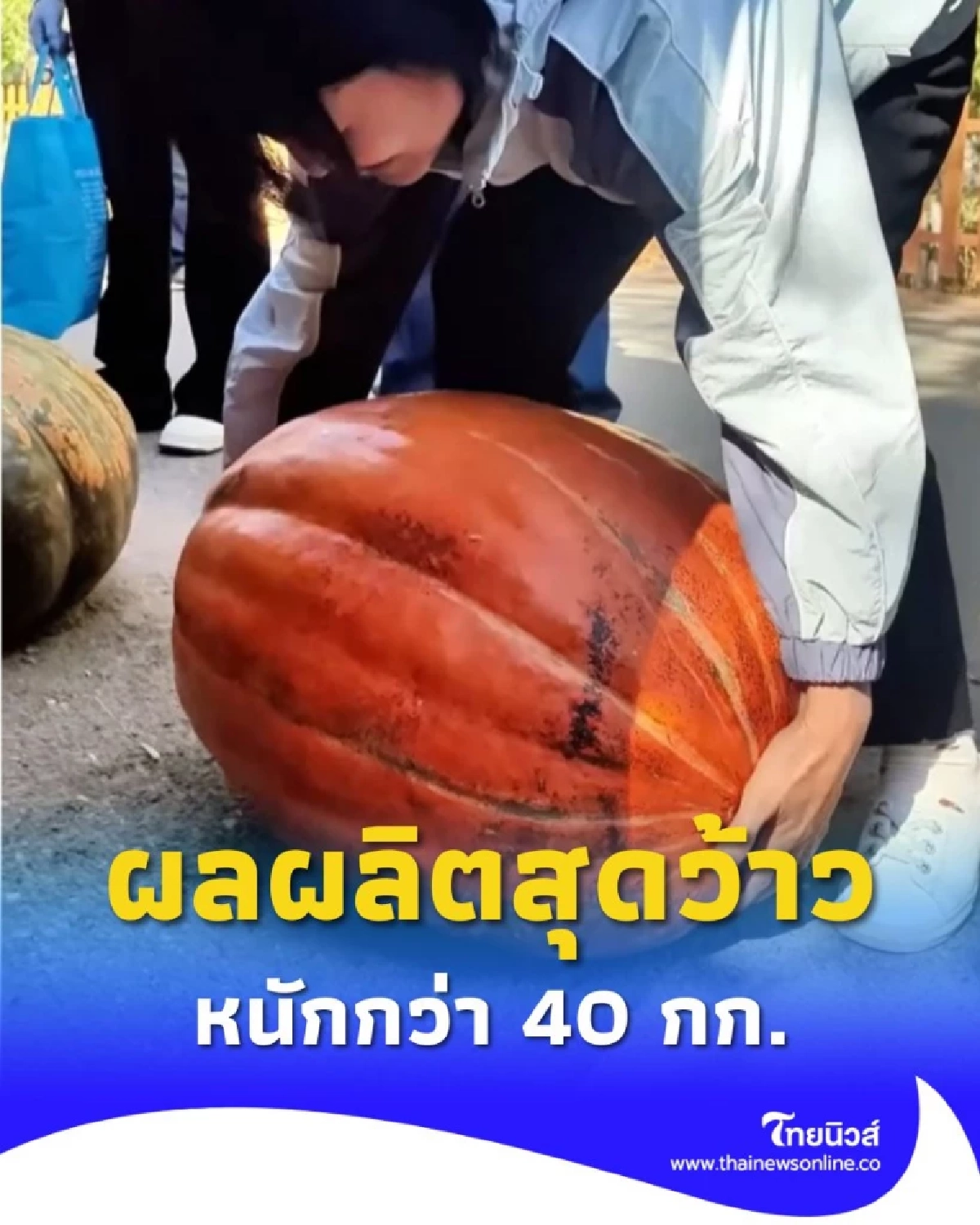 ผลผลิตสุดว้าว เกษตรกรจีนโชว์ความสำเร็จ ฟักทองไซซ์เบิ้ม หนักกว่า 40 กก.