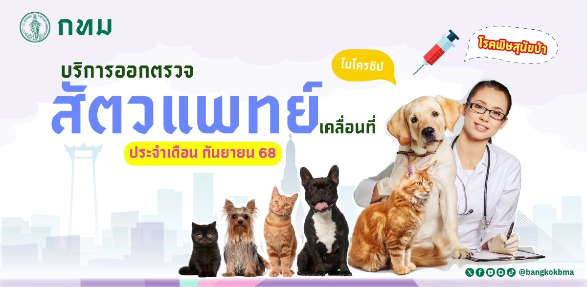 กทม. เปิดบริการสัตวแพทย์เคลื่อนที่ เดือน ก.ย. 2568 ช่วยเหลือสุนัขแมวฟรี