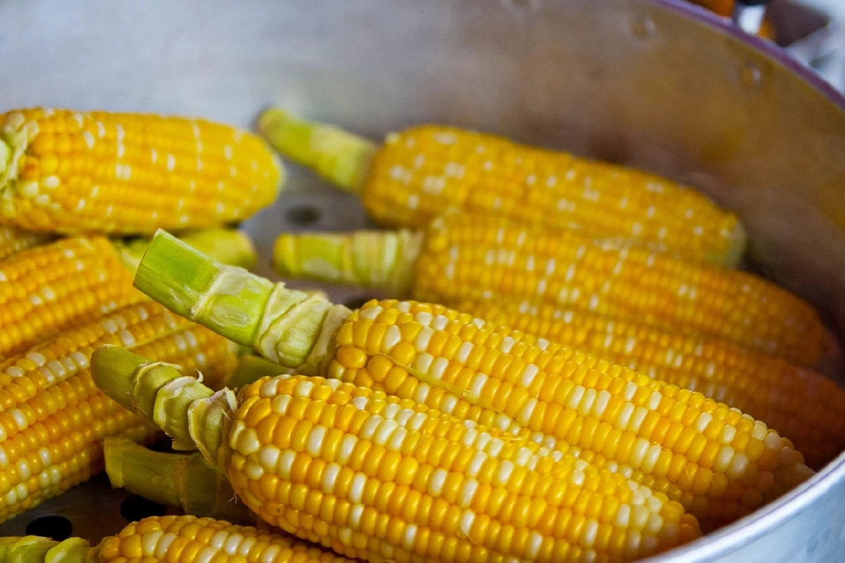 คนไข้หนัก 120 กก. โดนสั่งให้กินอาหารสุขภาพ ทำตามแล้วค่าน้ำตาลยังสูง