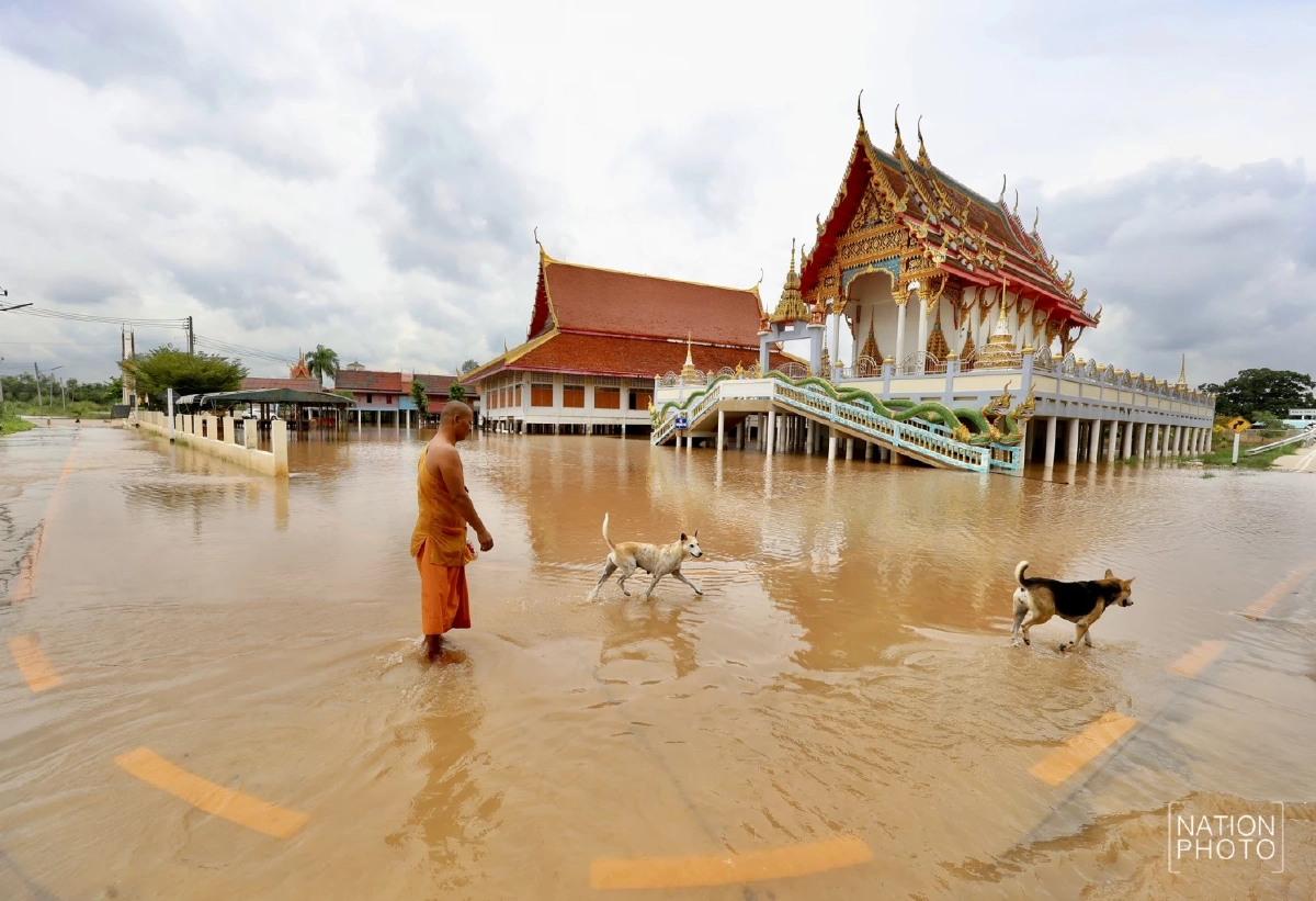 น้ำเจ้าพระยาทะลักท่วมอยุธยาอ่วม 5 อำเภอ เดือดร้อนกว่า 10,000 ครัวเรือน
