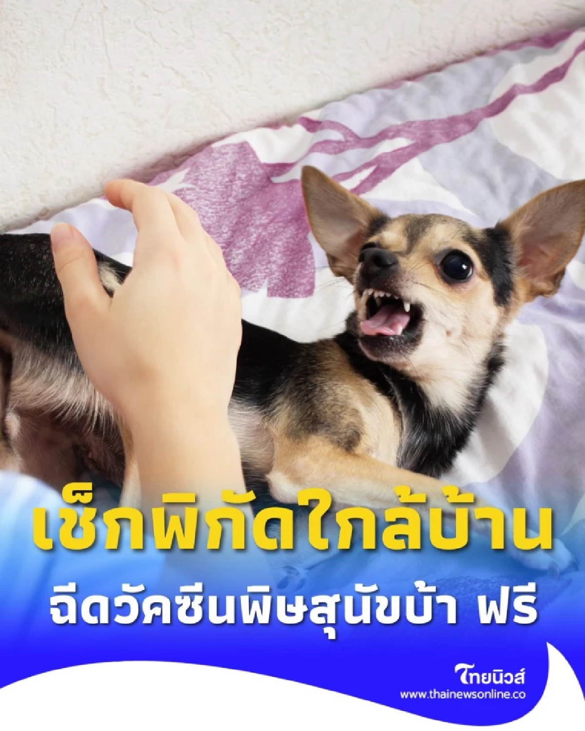 กทม.เปิดแล้ว ฉีดวัคซีนพิษสุนัขบ้า ฟรี เช็กพิกัดใกล้บ้านได้เลย