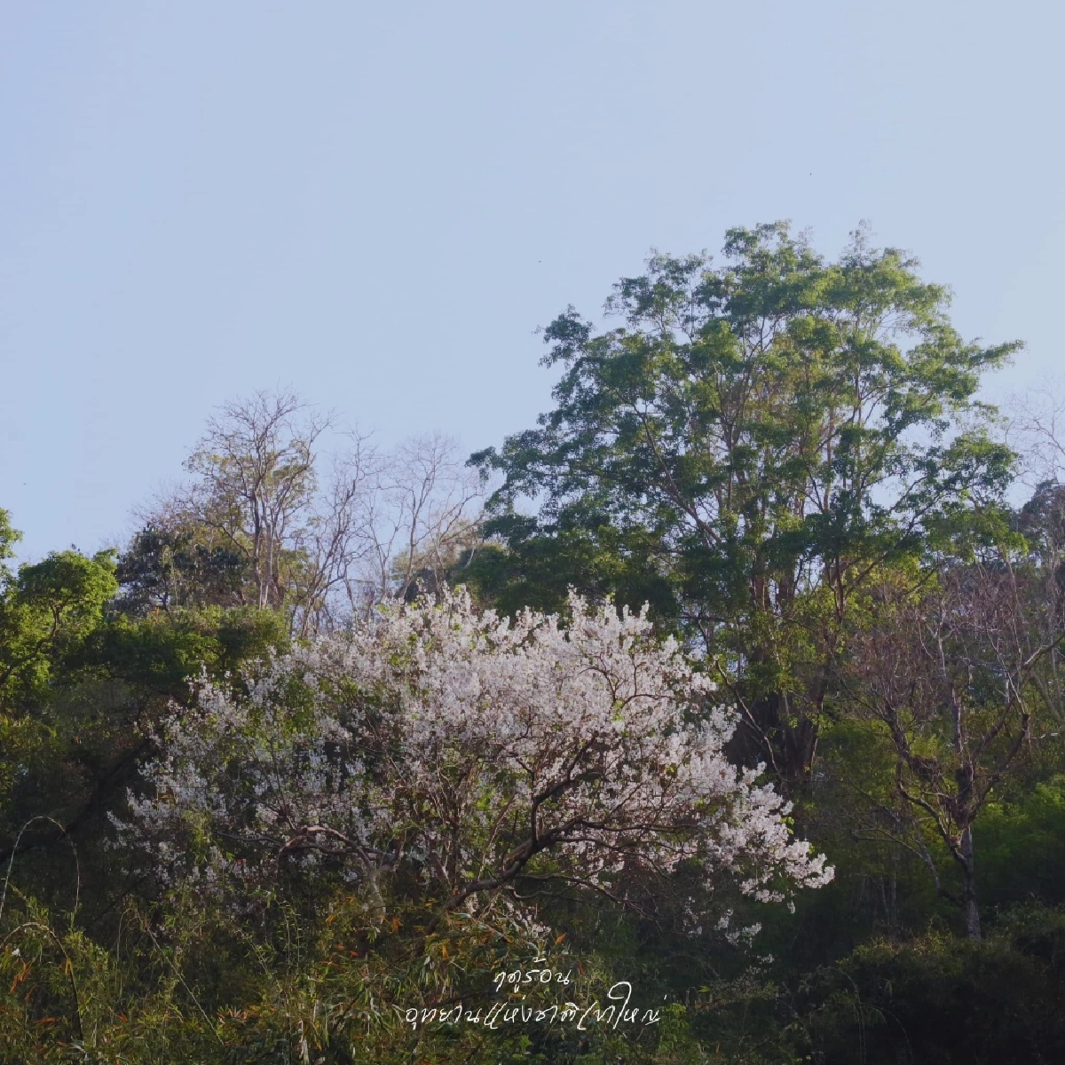 เขาใหญ่ ติดโผ คว้าที่ 2 จุดหมายปลายทางชนบทยอดนิยมเอเชีย