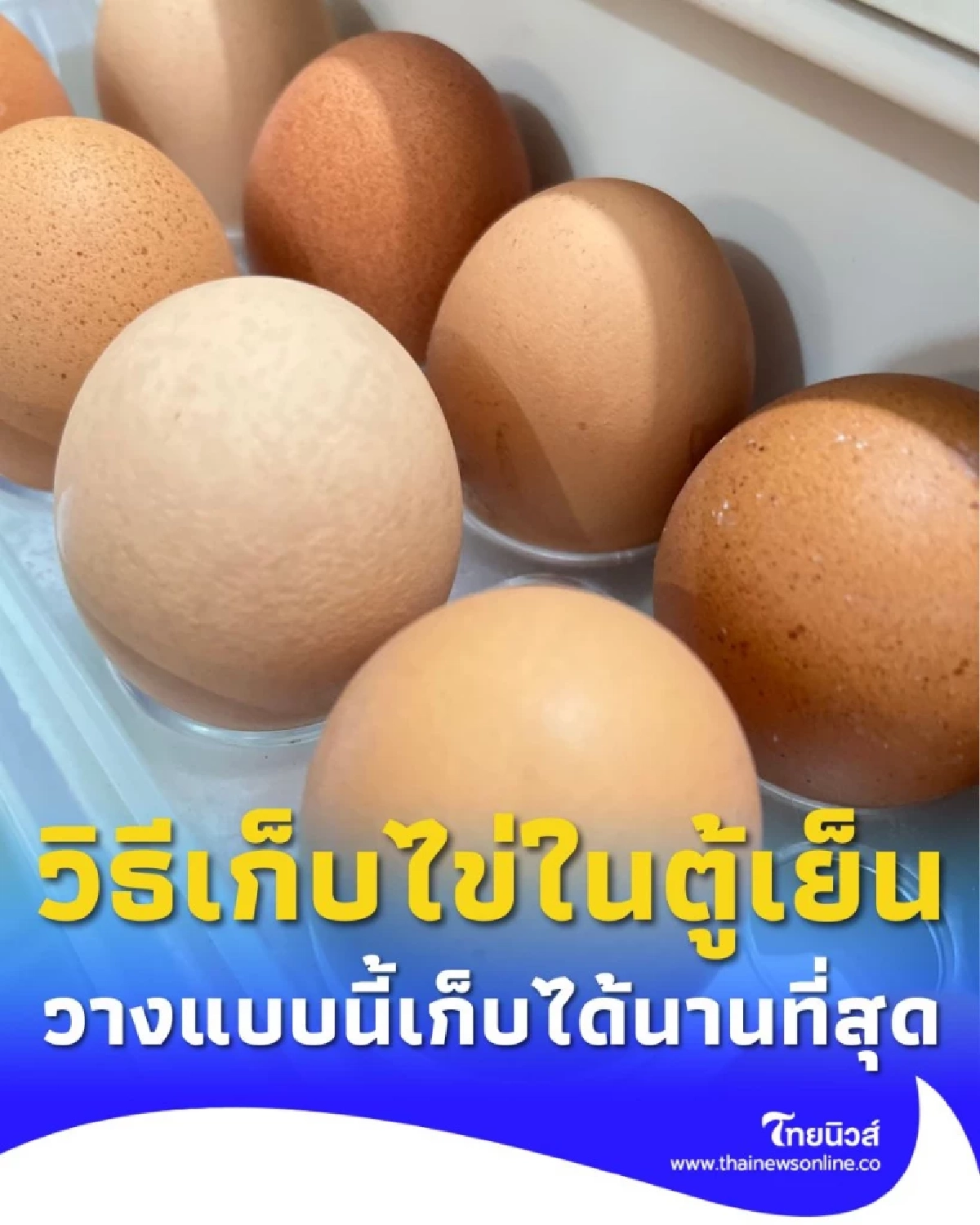 หลายคนมองข้าม วิธีเก็บไข่ในตู้เย็น วางแบบไหนเก็บไข่ได้นานที่สุด