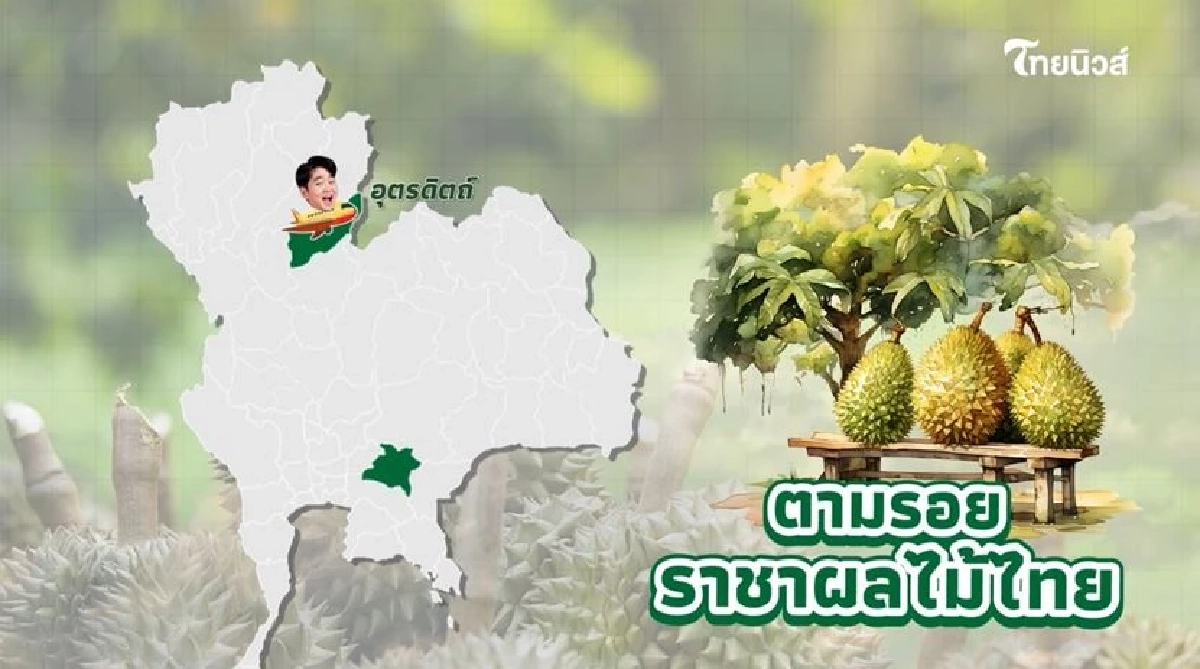 \"ทุเรียน\"ราชาแห่งผลไม้ไทย กับ รหัสลับ GI ที่โลกต้องรู้จัก