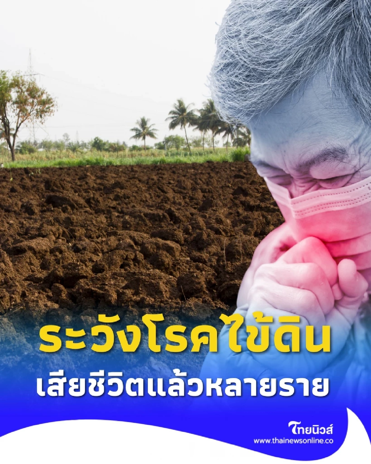 ระวัง โรคไข้ดิน เสียชีวิตแล้วหลายราย เช็กอาการและวิธีป้องกัน