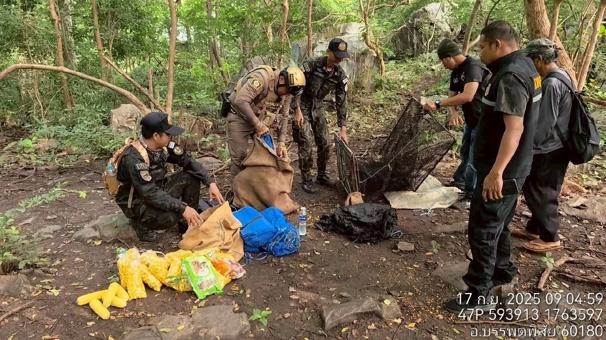 อุกอาจ แก๊งล่าลิงแสม คนร้ายเผ่นทิ้งของกลางเห็นภาพแล้วหดหู่