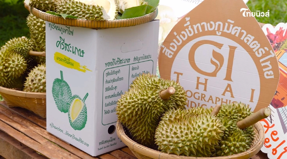\"ทุเรียน\"ราชาแห่งผลไม้ไทย กับ รหัสลับ GI ที่โลกต้องรู้จัก
