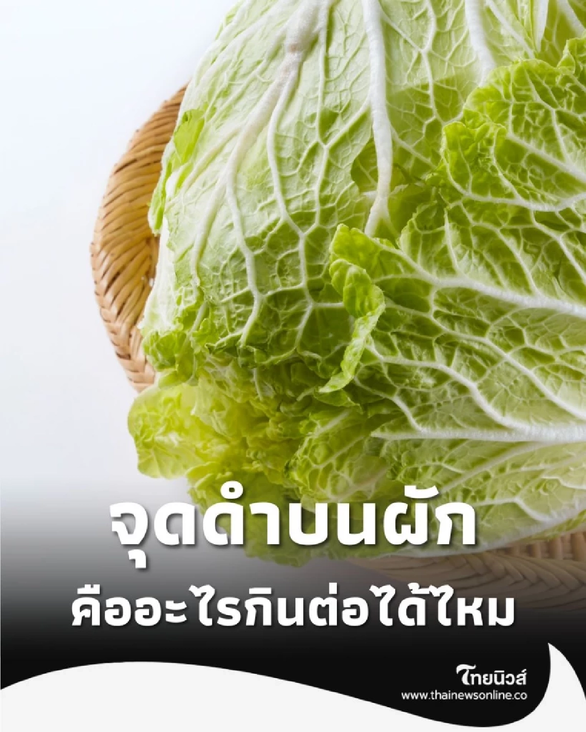 จุดดำบนผักกาดขาว กินต่อได้ไหม เปิดคำตอบที่คุณต้องรู้ก่อนปรุง