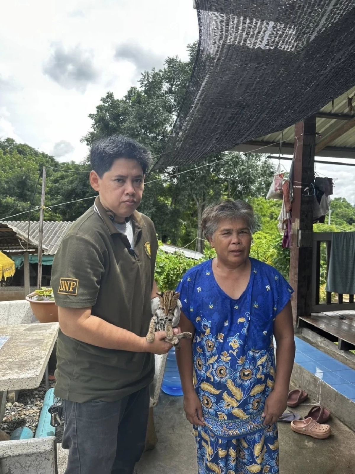 รับมอบเสือปลาบาดเจ็บ หลังพลเมืองดีแจ้งผ่านสายด่วนพิทักษ์ป่า