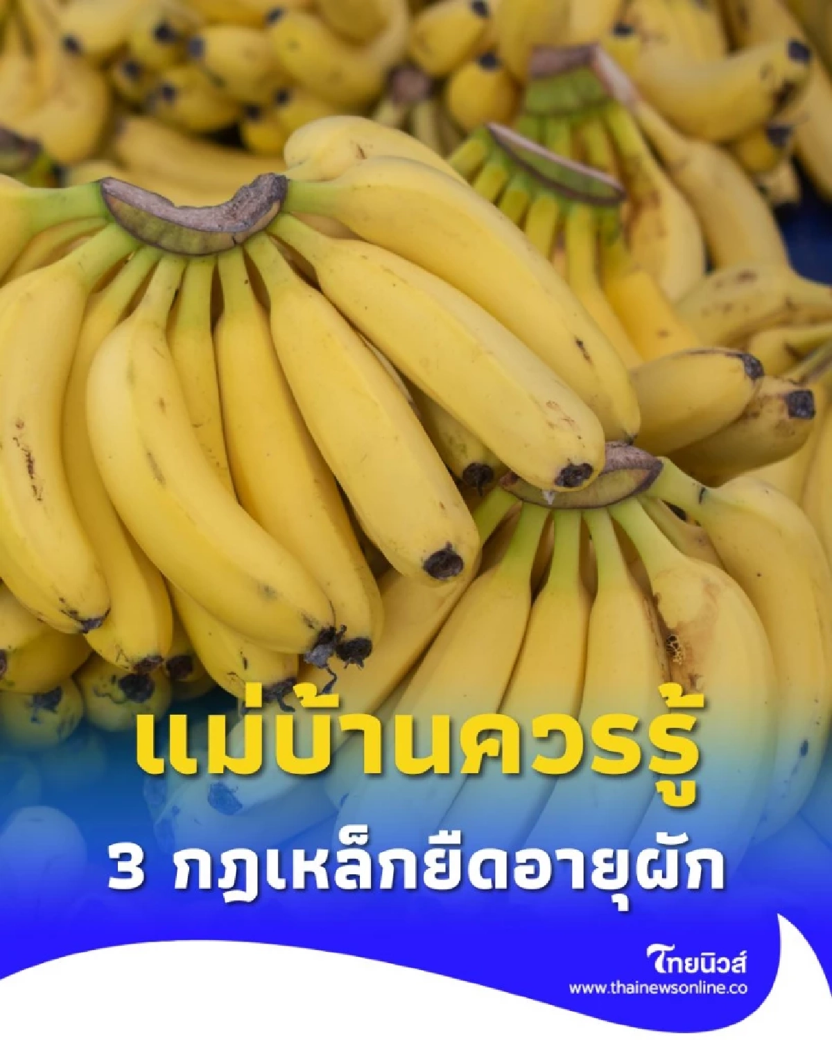 วิธียืดอายุผัก ให้สดนานเป็นสัปดาห์ แม่บ้านควรรู้ 3 กฎเหล็ก