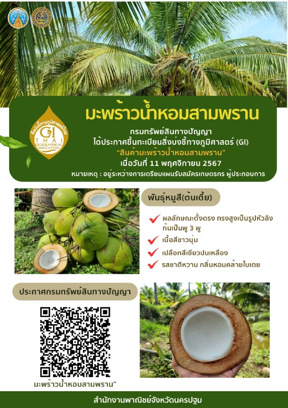 มะพร้าวน้ำหอมสามพราน คว้า GI สร้าง Soft Power ไทยสู่ตลาดโลก