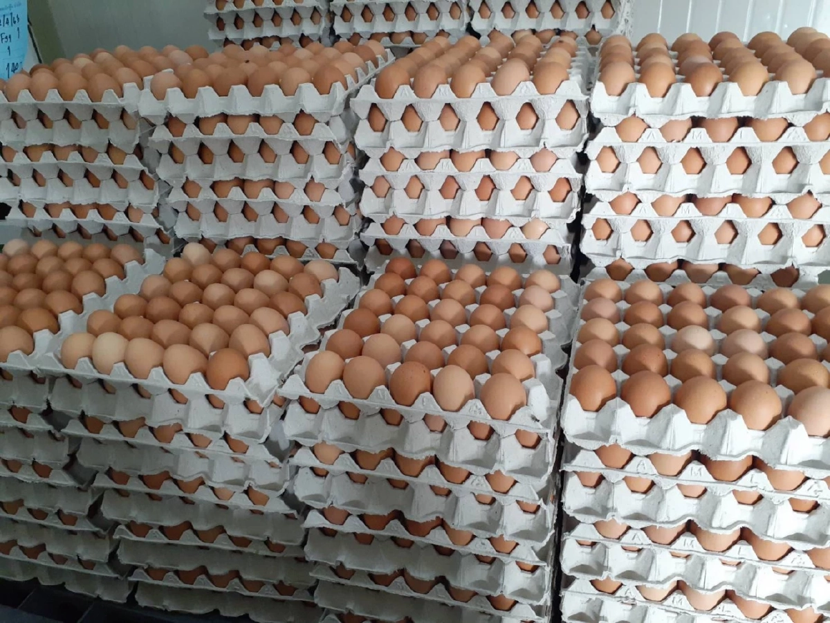 เคล็ดลับจากตัวจริง ล้งไข่ เฉลยแล้ว ซื้อไข่ไก่เบอร์ไหนคุ้มสุด