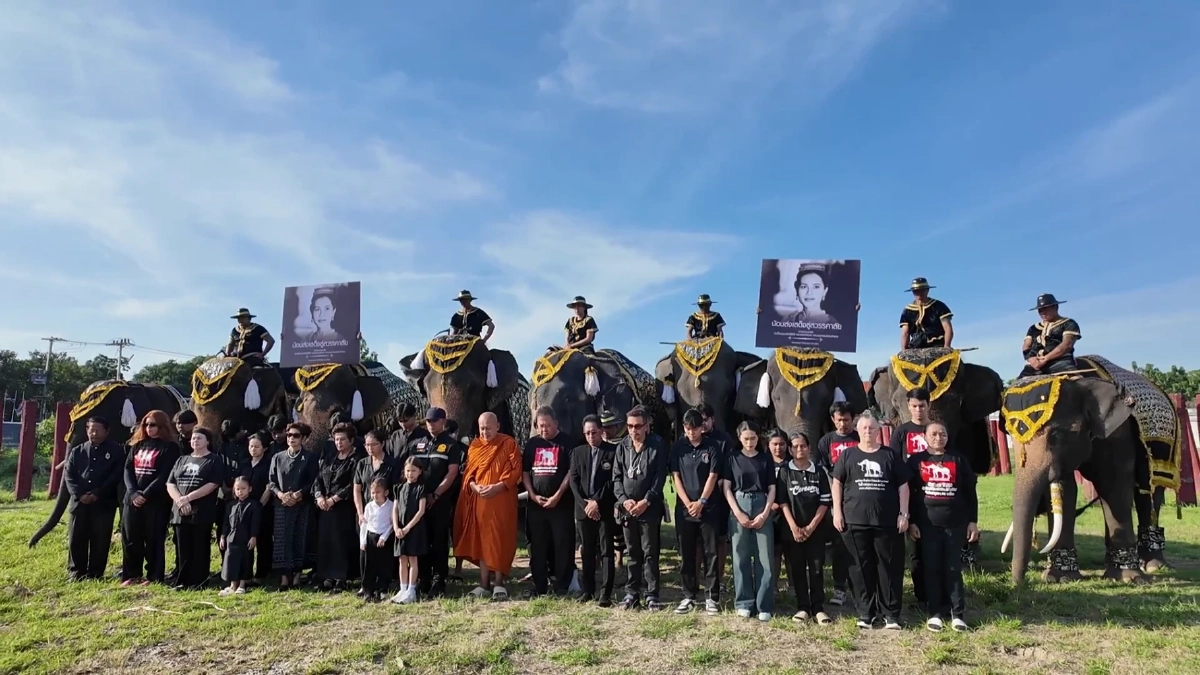 วังช้างอยุธยานำช้าง 9 เชือก หมอบกราบถวายความอาลัยพระพันปีหลวง