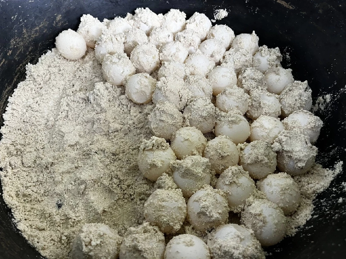 พบ “เต่าตนุ” ขึ้นวางไข่ที่หมู่เกาะสิมิลัน เจ้าหน้าที่เร่งย้ายไข่ 75 ฟองสู่พื้นที่ปลอดภัย