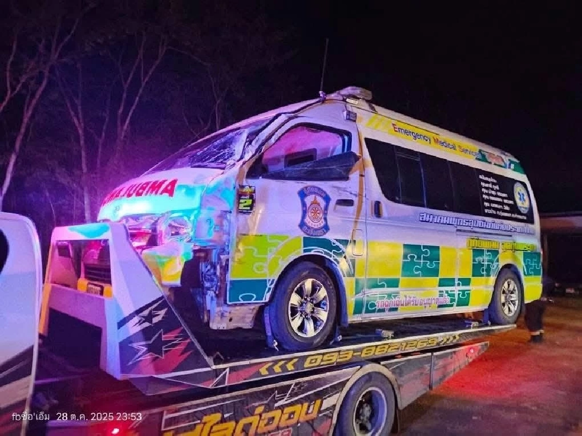 ติดตามอาการช้างป่าเขาอ่างฤาไน หลังถูกรถกู้ภัยชนได้รับบาดเจ็บ