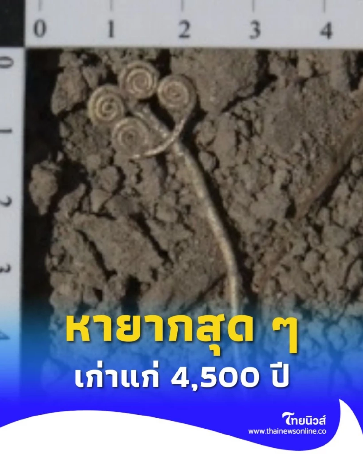 หายากสุด ๆ ตุรกีพบ เข็มกลัดทองคำ และ ชิ้นหยก อายุ 4,500 ปี