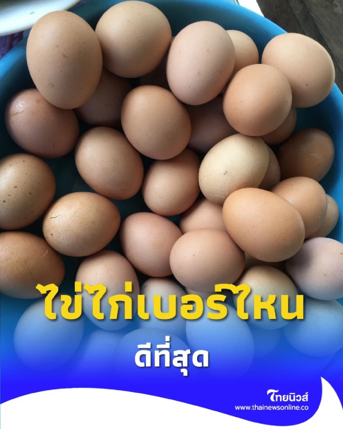 ไข่ไก่แต่ละเบอร์ เลือกยังไงให้ได้ประโยชน์สูงที่สุดสำหรับคุณ