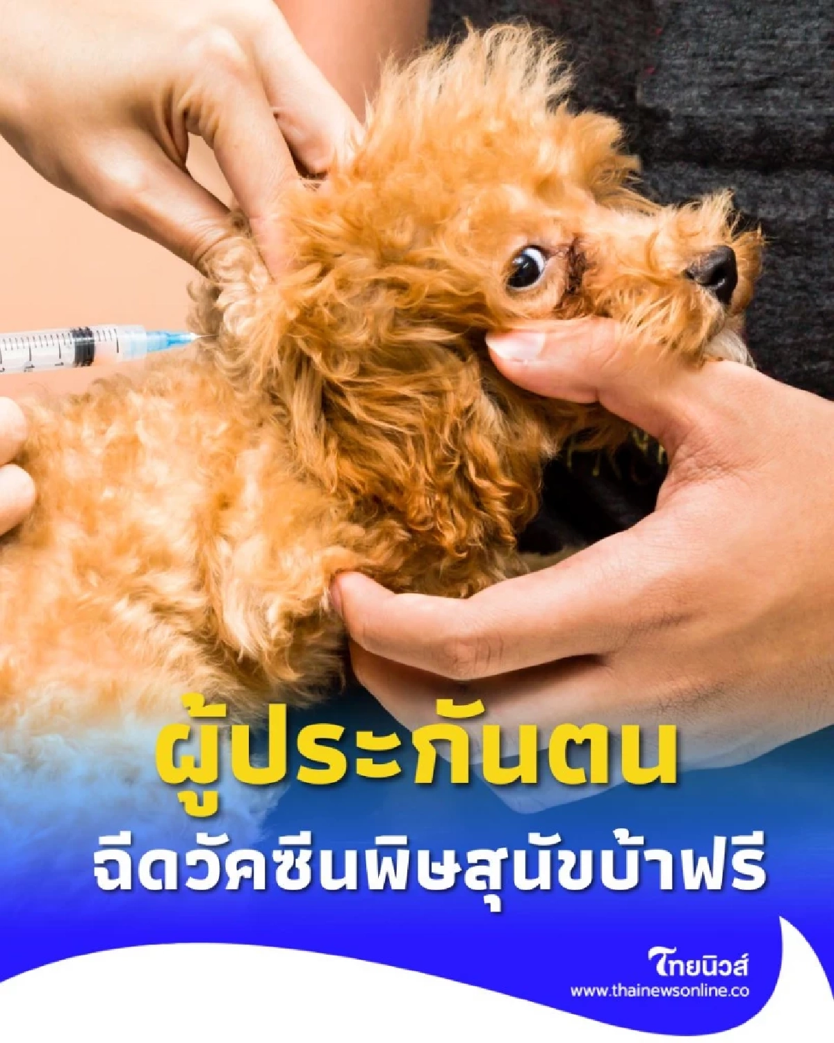 ผู้ประกันตนฉีดวัคซีนพิษสุนัขบ้าฟรี ได้ทันที ณ โรงพยาบาลตามสิทธิรักษา