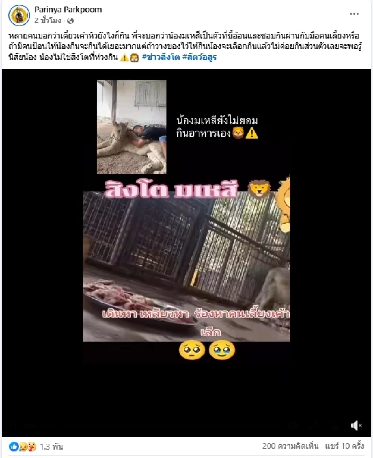 เจ้าของโพสต์เศร้า\"มเหสี\" สิงโตกัดคน ล่าสุดเกิดปัญหาแล้ว