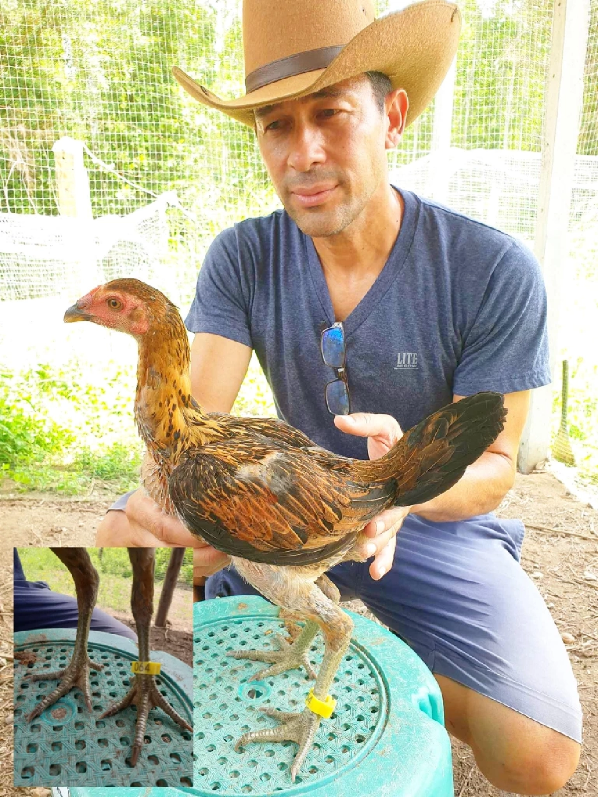 เปิดใจ “โจโจ้ ไมอ๊อคชิ” จากนักแสดงสู่เกษตรกรหัวใจแกร่ง