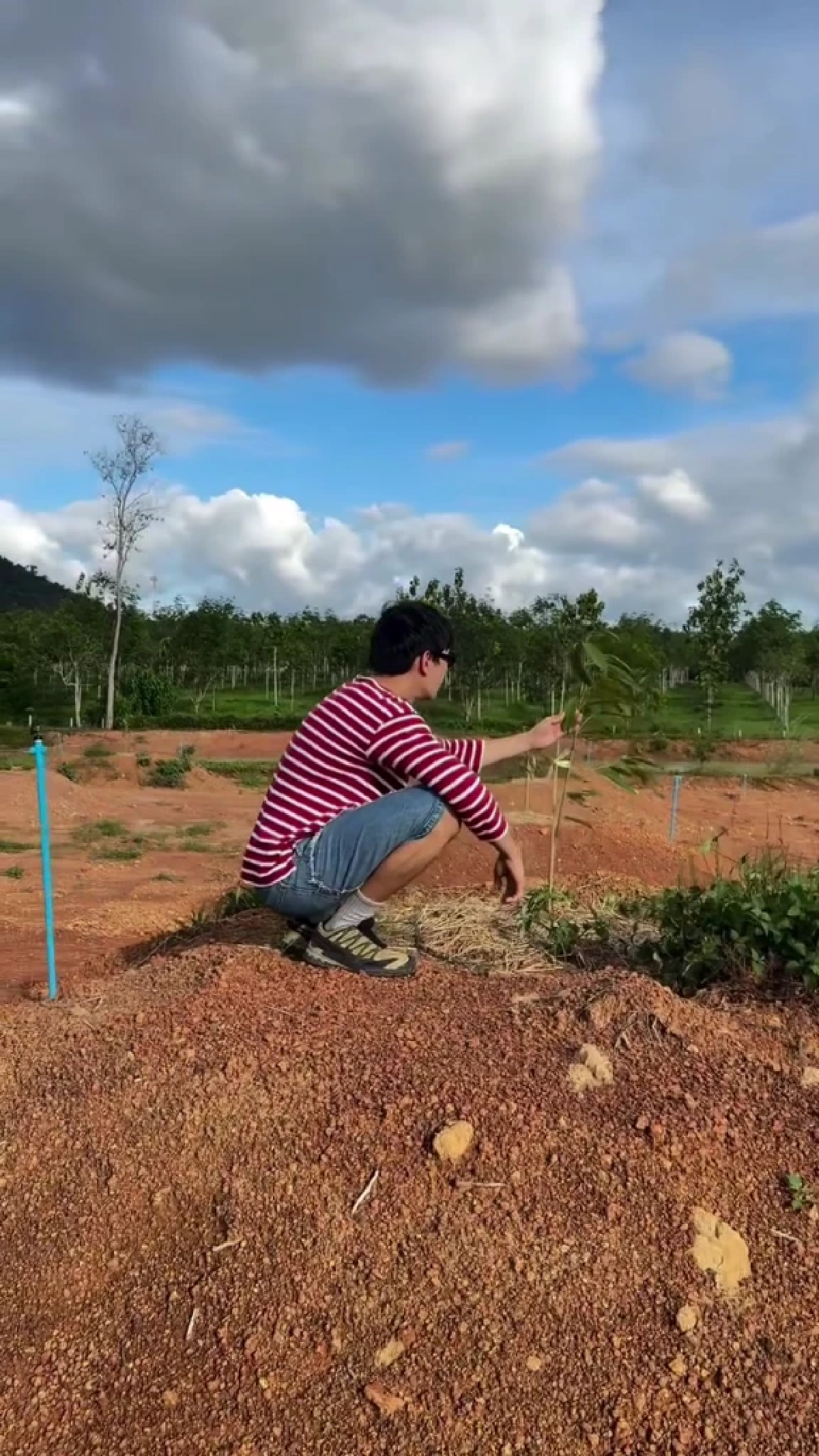เคน ภูภูมิ อัปเดตความคืบหน้าสวนทุเรียนบนพื้นที่กว่า 200 ไร่
