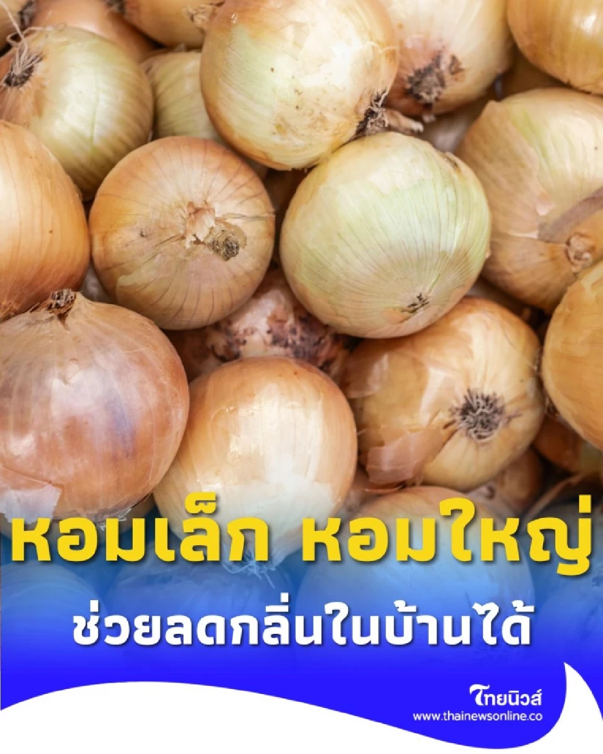 แม่บ้านบอกเอง หอมเล็ก หอมใหญ่ นอกจากทำอาหารแล้วมีประโยชน์อะไรได้อีก