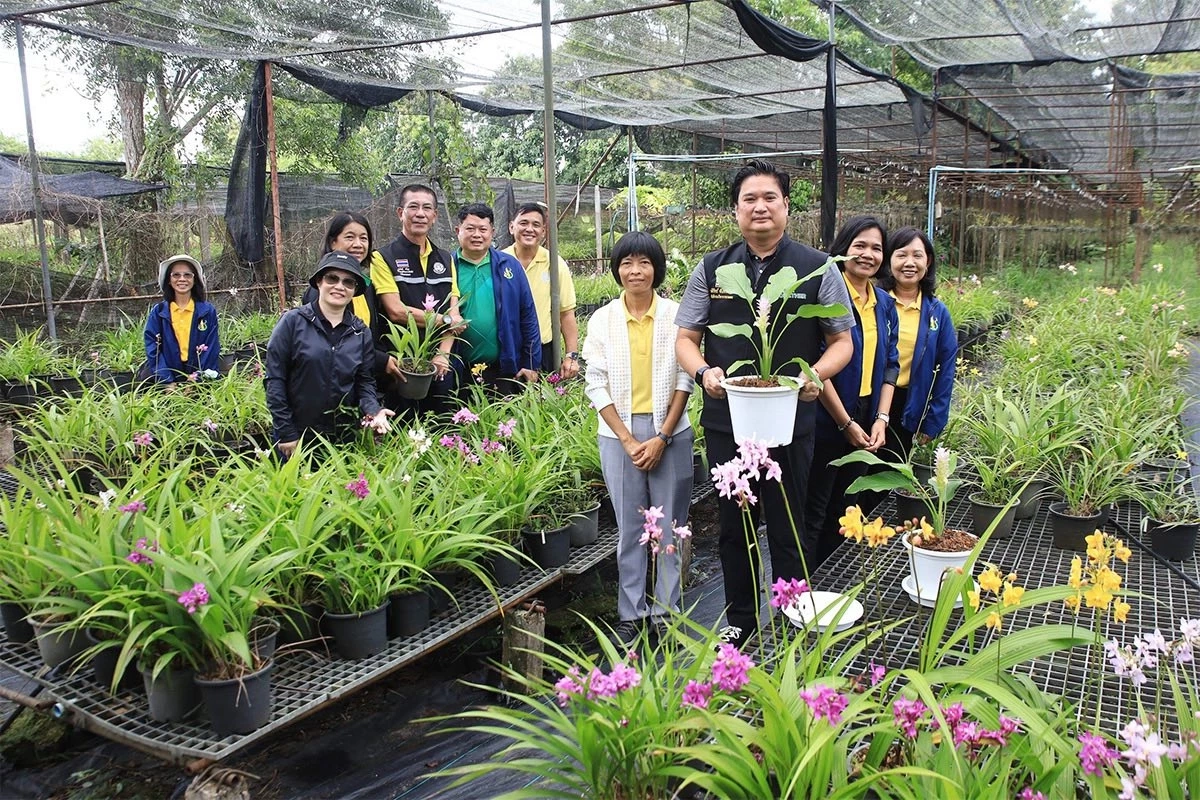 พลิกวงการกล้วยไม้ เปิดตัว 2 พันธุ์ใหม่ สวย โตเร็ว ขายได้ไวทันตลาด