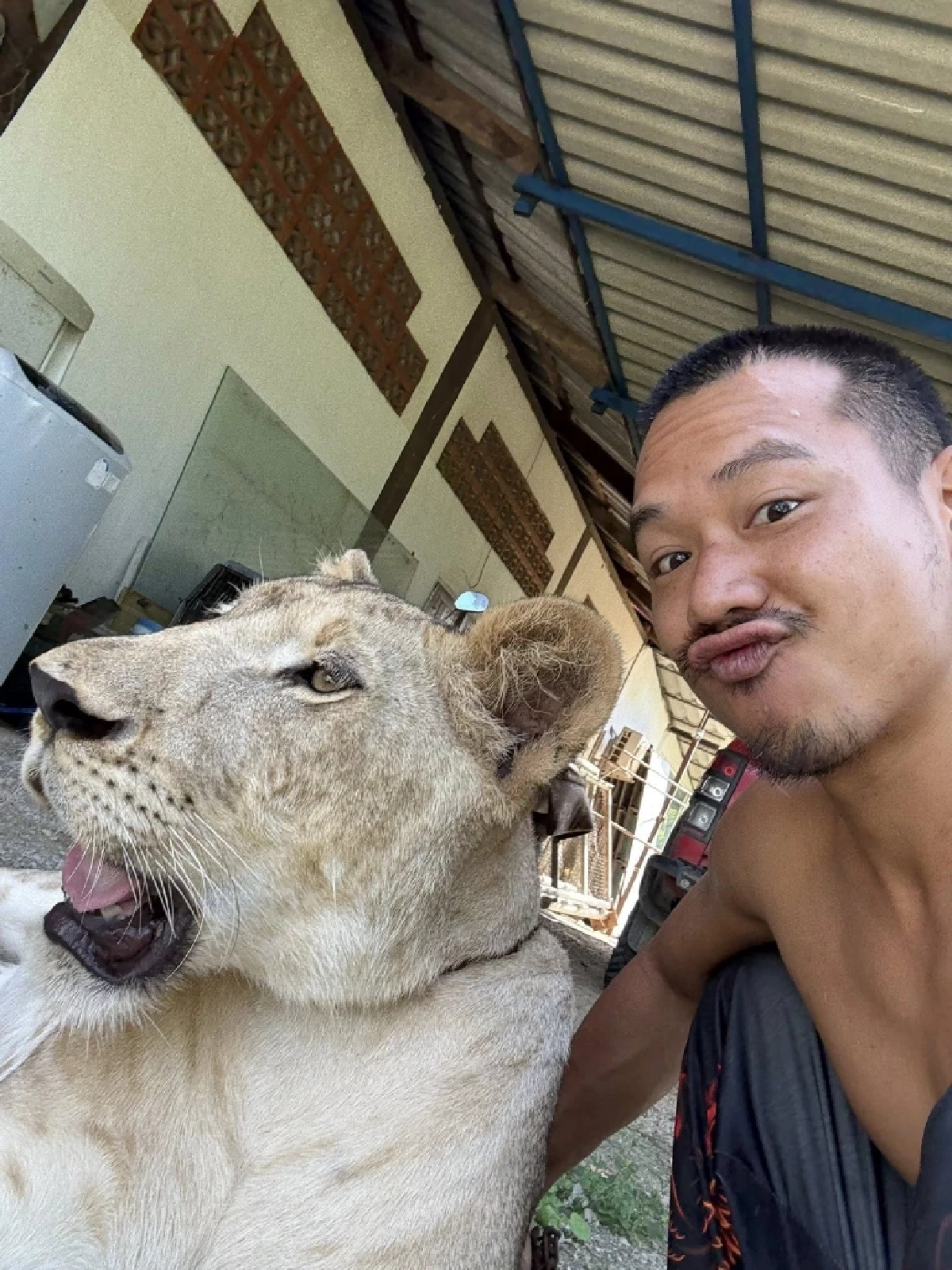 สิงโตหลุดกัดคน อินฟลูฯดังโพสต์ขอโทษ พร้อมจบเรื่องเอง