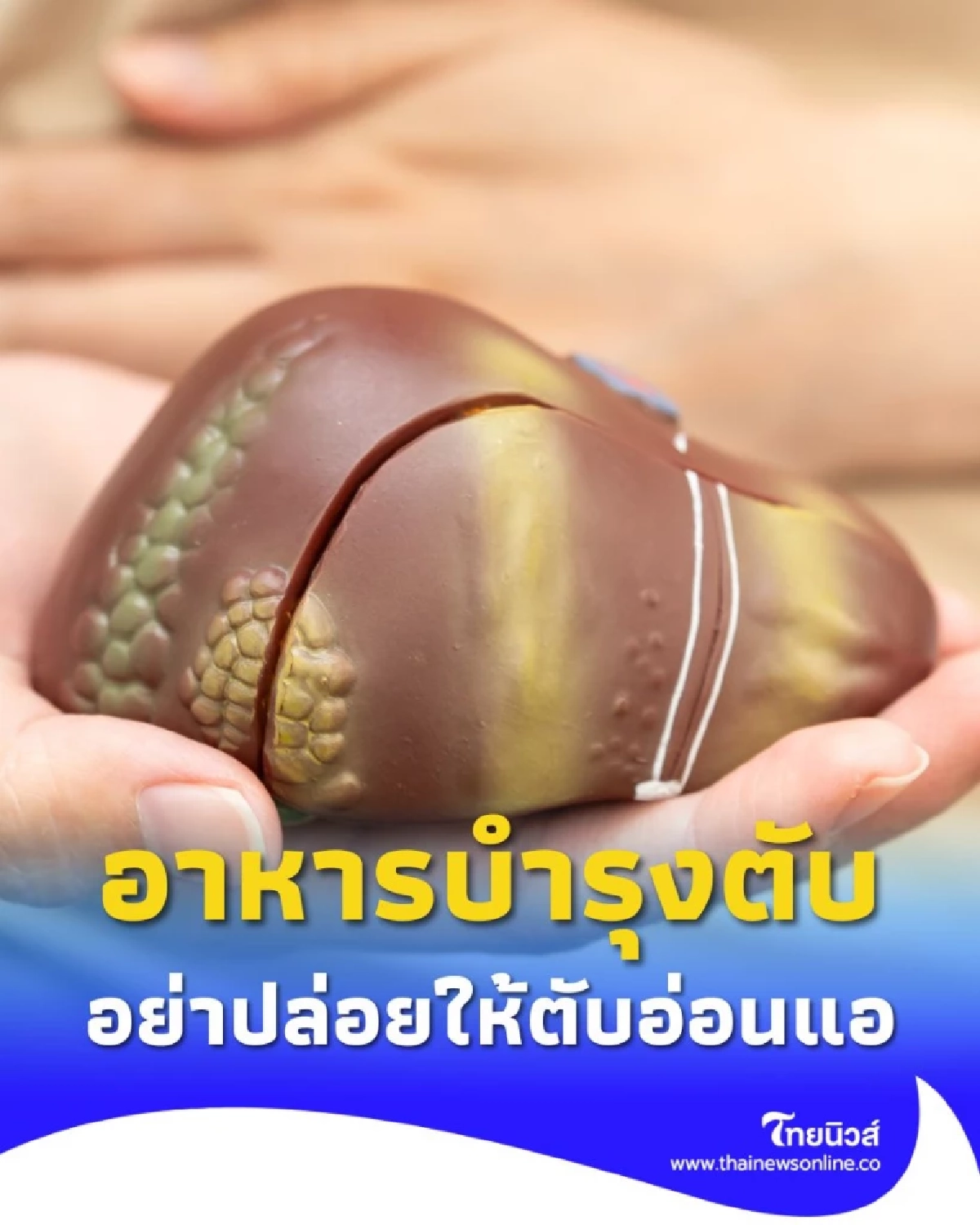 สัญญาณเตือนอันตราย อย่าปล่อยให้ตับอ่อนแอ จนเสี่ยงถึงชีวิต