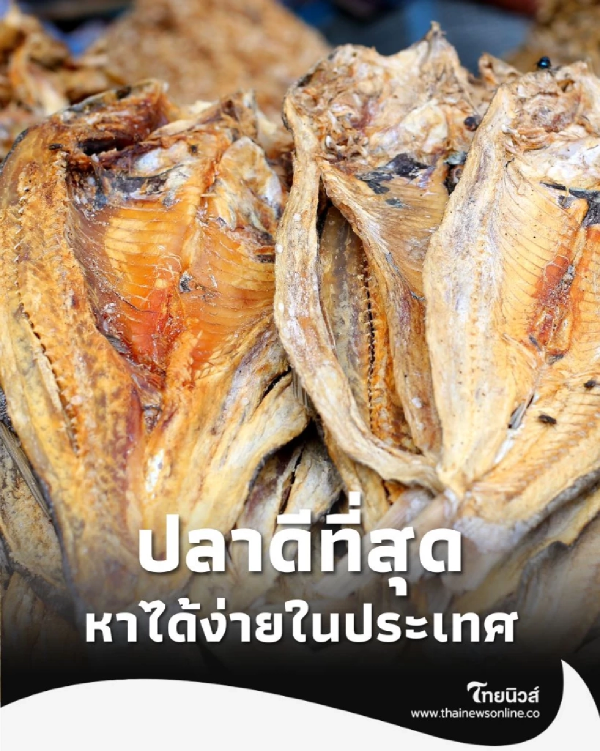 5 อันดับปลาดีที่สุด โอเมก้า 3 สูง บำรุงสมอง หัวใจ หาได้ง่ายในประเทศ