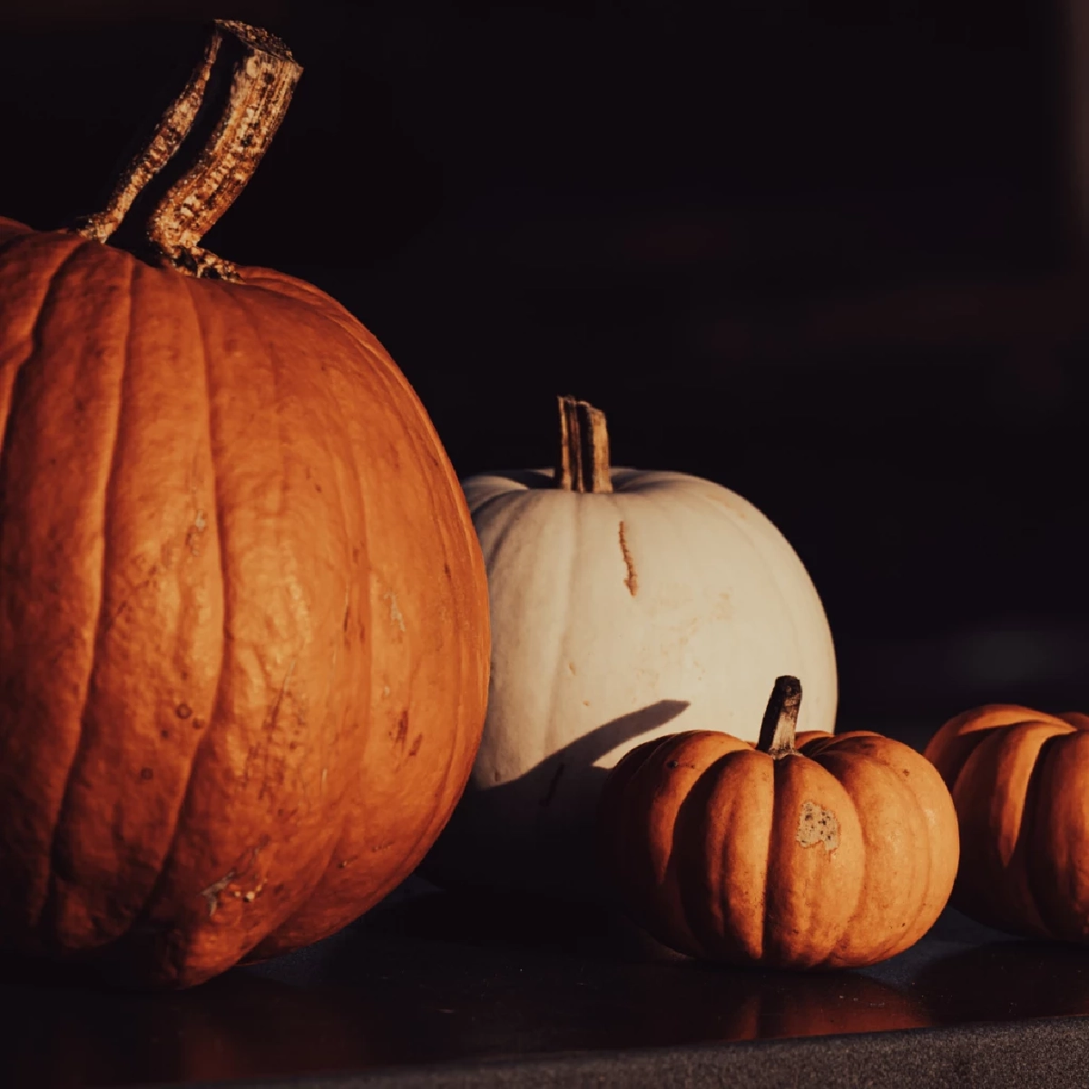 ไขความลับ “ฟักทองฮาโลวีน” จากตำนานแจ็ค โอแลนเทิร์น สู่สัญลักษณ์แห่งวันปล่อยผี