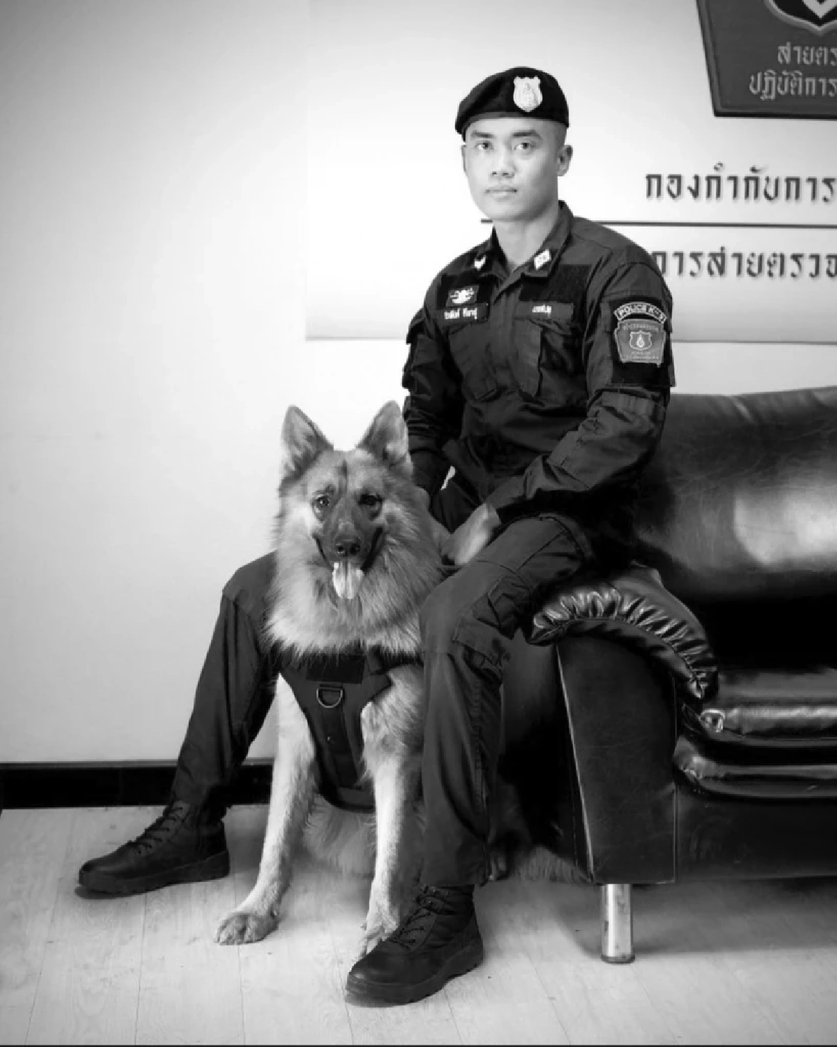 สุดเศร้า! “ซาโบ้” สุนัขตำรวจ K9 จากช่อง “โบกะโบ้” จากไปอย่างสงบ