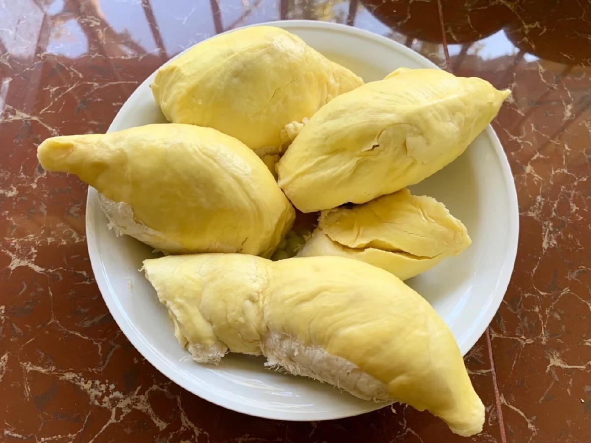 กรมทรัพย์สินทางปัญญา ดัน \"ทุเรียนชุมพร\" ขึ้นแท่น GI น้องใหม่