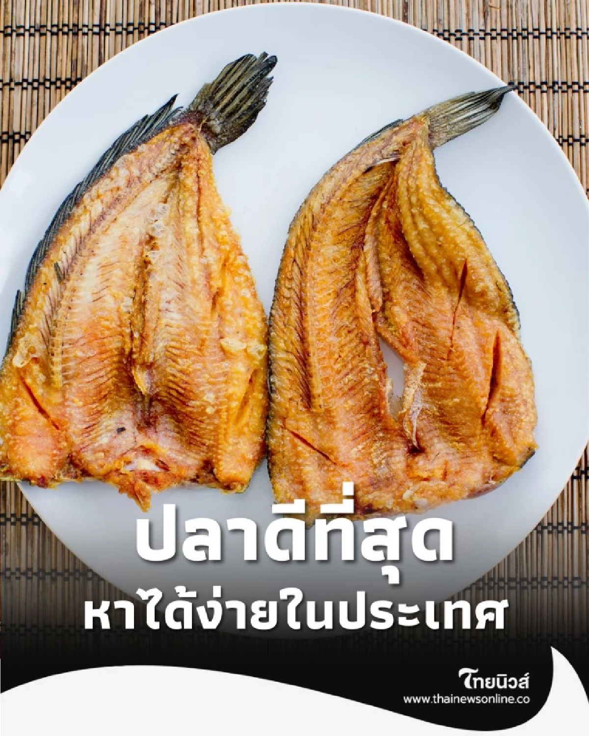 5 อันดับปลาดีที่สุด โอเมก้า 3 สูง บำรุงสมอง หัวใจ หาได้ง่ายในประเทศ