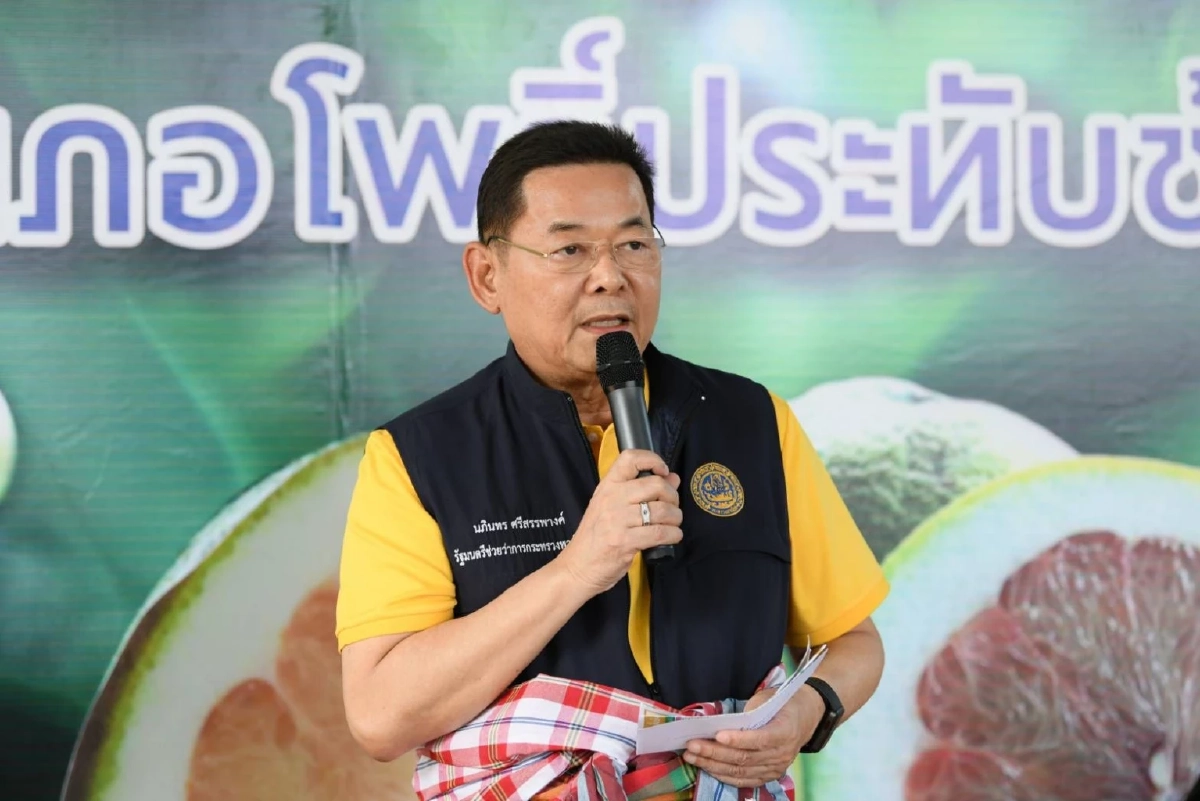 มะพร้าวน้ำหอมสามพราน คว้า GI สร้าง Soft Power ไทยสู่ตลาดโลก