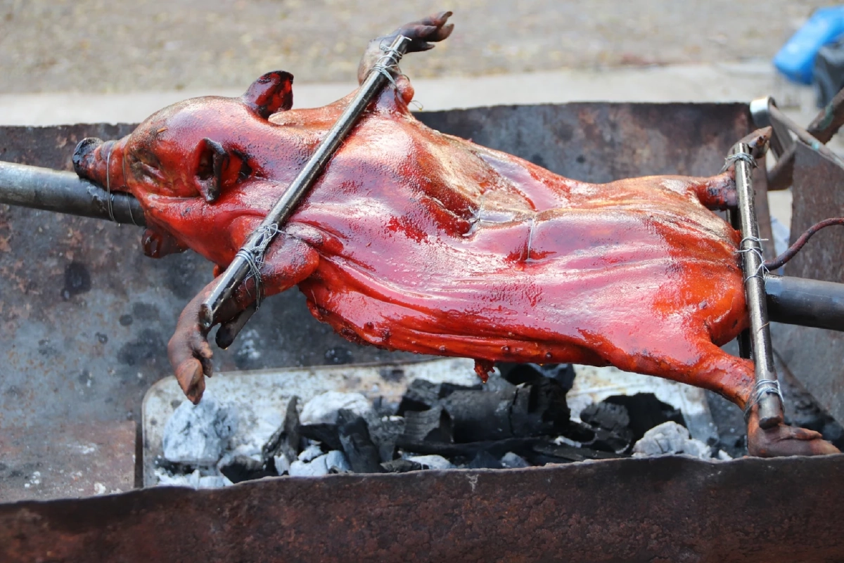 ยุทธการ หมูหัน 1 แสนตัว แผนเด็ดพยุงราคาหมู ต่อลมหายใจเกษตรกรไทย