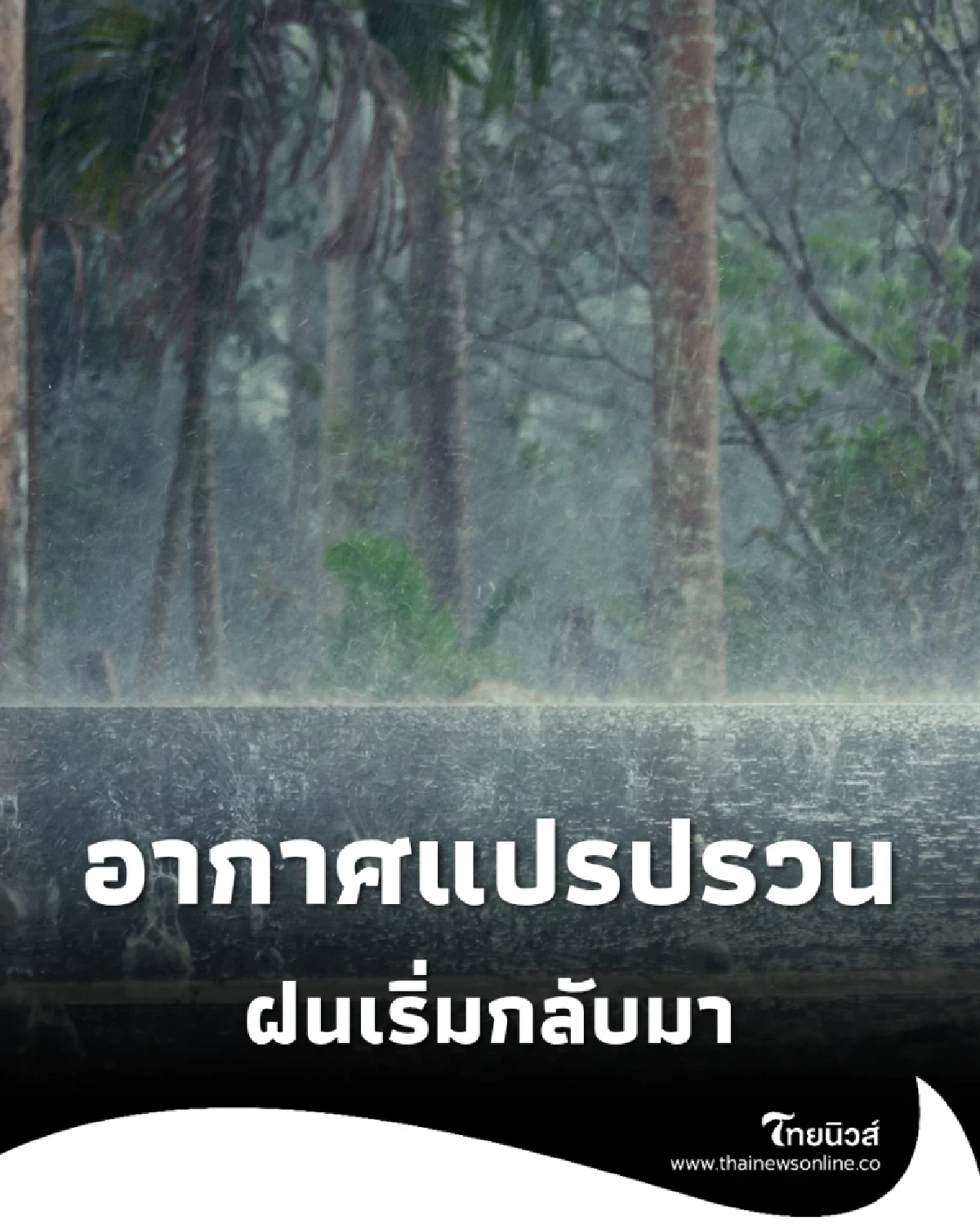 ฝนกลับมา! ไทยตอนบนเริ่มมีฝนเพิ่ม ภาคใต้เจอฝนหนักบางแห่ง