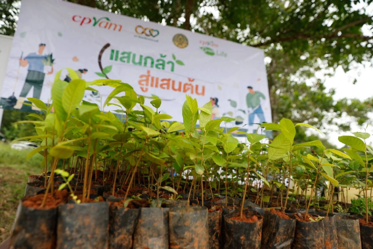 ความสำเร็จ \"ซีพีแรม\"ปลูกเพื่อโลกยั่งยืน ต่อเนื่องปีที่12 ปลูกป่ากว่า 65,000 ต้น