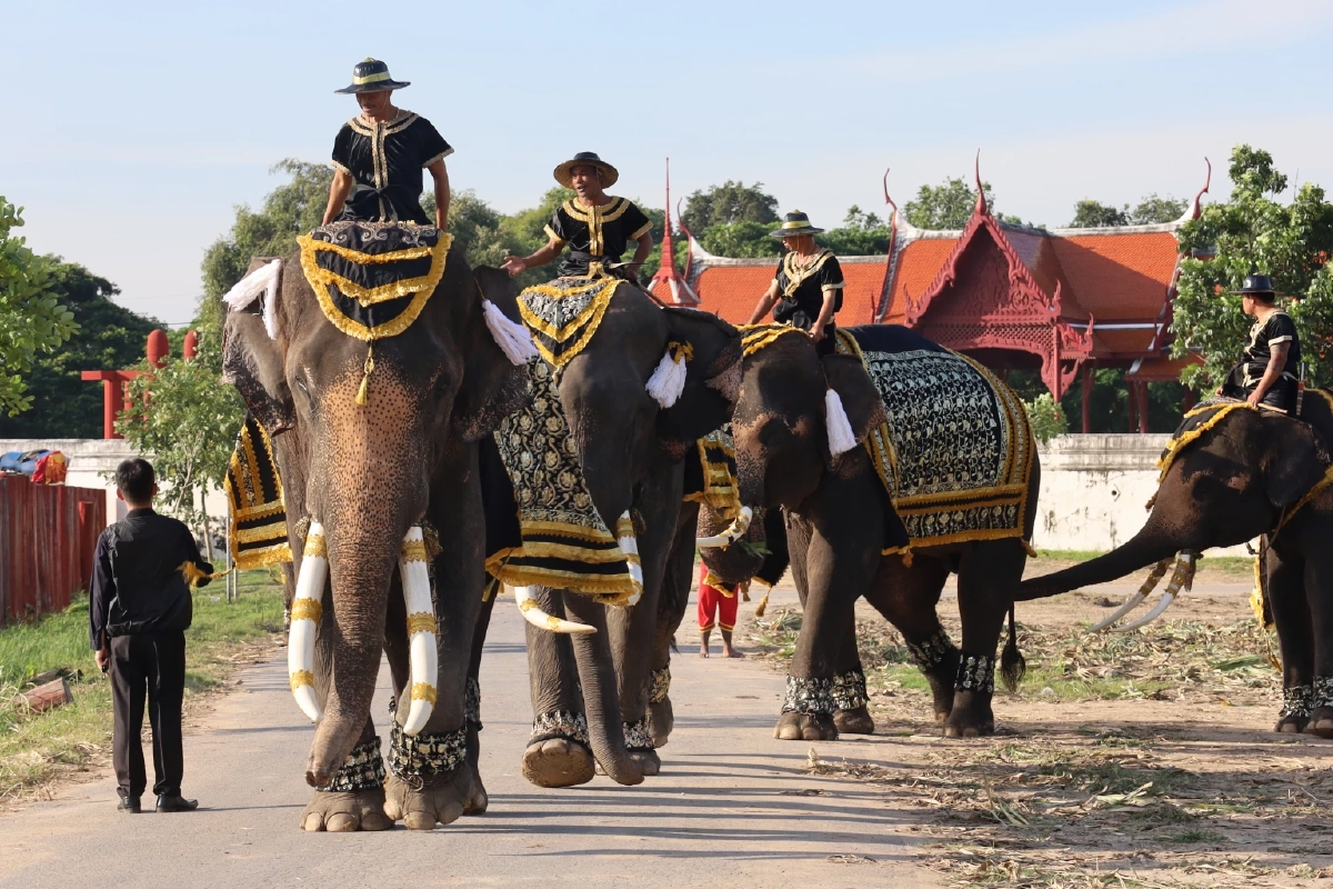 วังช้างอยุธยานำช้าง 9 เชือก หมอบกราบถวายความอาลัยพระพันปีหลวง