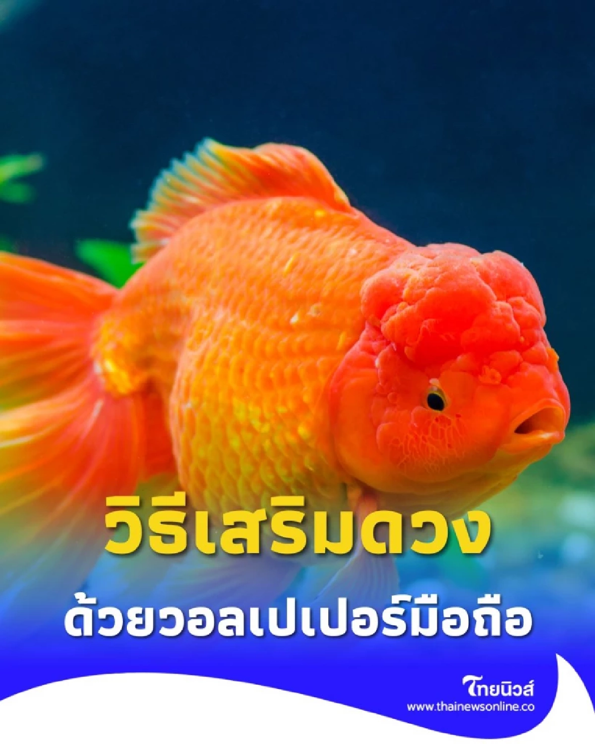 เสริมดวงให้ปัง 5 วอลเปเปอร์มือถือ ตามวันเกิด ครบทั้ง 7 วัน