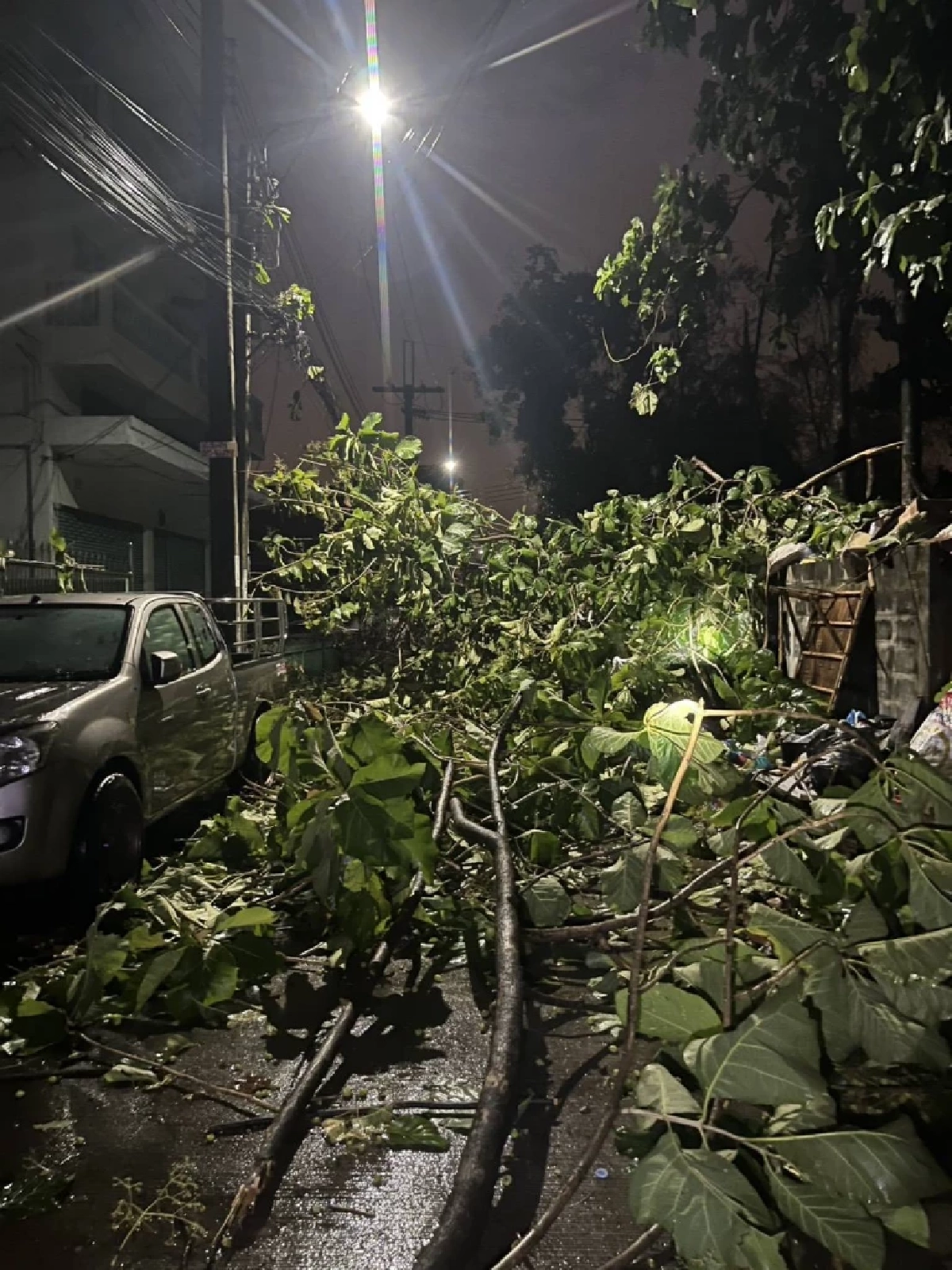 ฝนถล่มกรุงเทพฯ ต้นไม้ล้ม-หลังคาปลิว ทับบ้านเรือนและรถยนต์