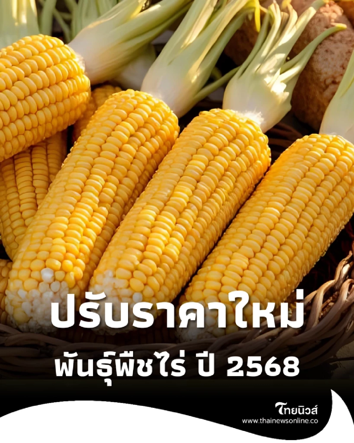 ราชกิจจาฯ ปรับราคาขายพันธุ์พืชไร่ปี 2568 ทั้งหมด 38 รายการ