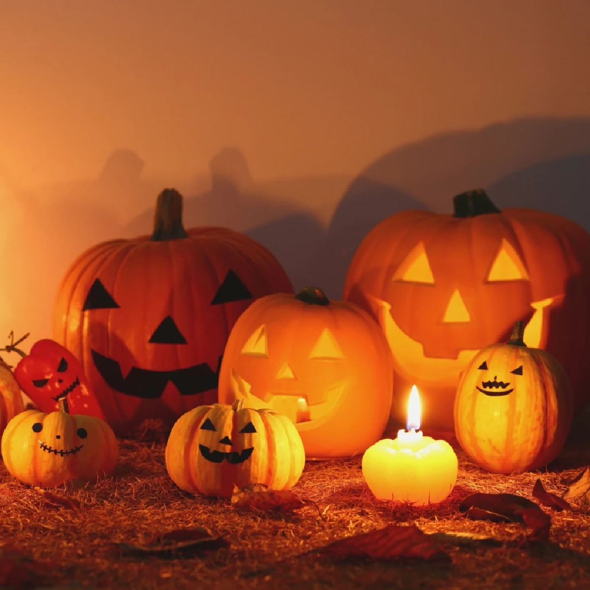 ไขความลับ “ฟักทองฮาโลวีน” จากตำนานแจ็ค โอแลนเทิร์น สู่สัญลักษณ์แห่งวันปล่อยผี