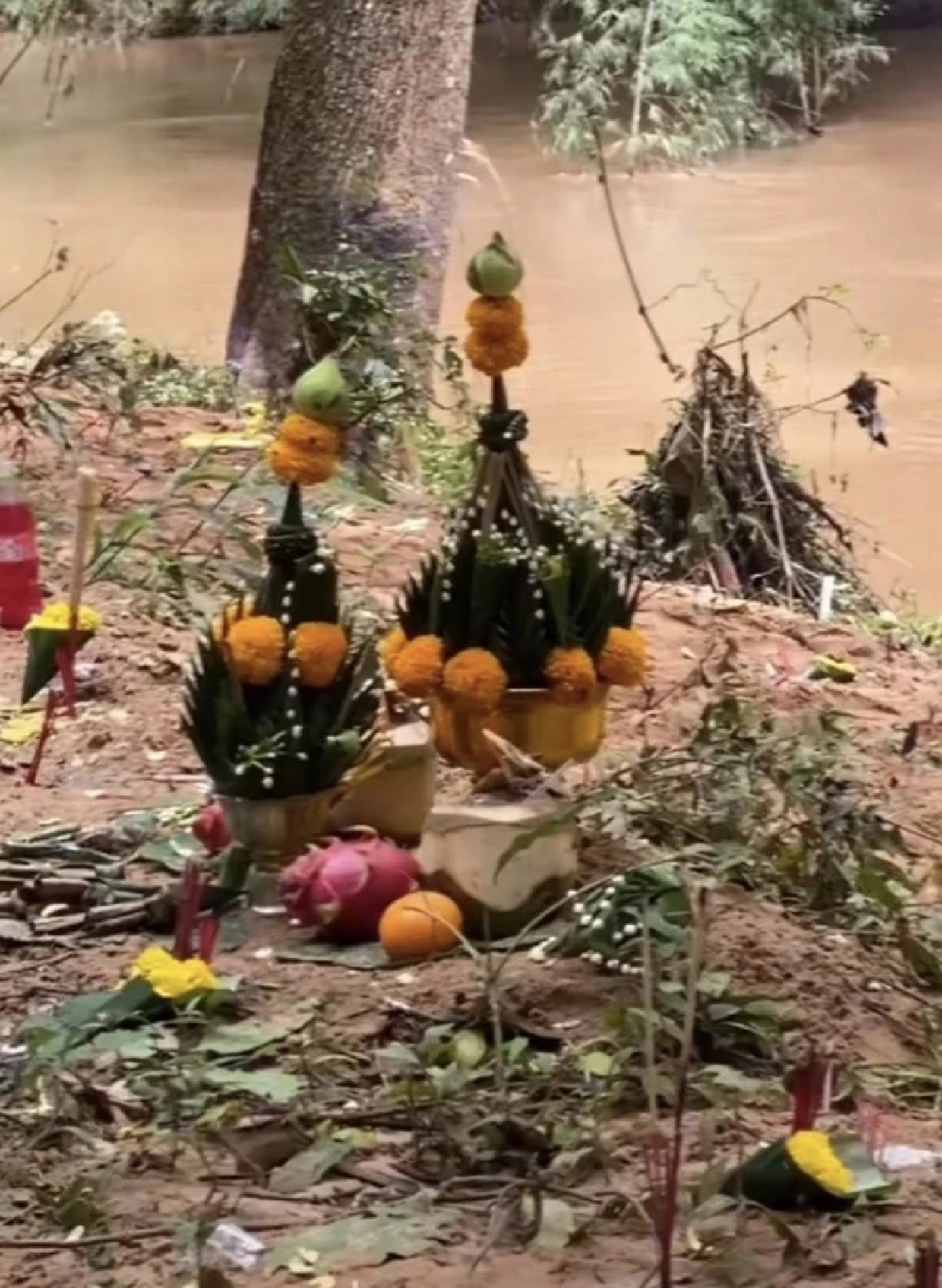 ไพรวัลย์ เตือนสติสังคมออนไลน์ หลังคนแชร์ภาพหินรูปร่างคล้ายงู