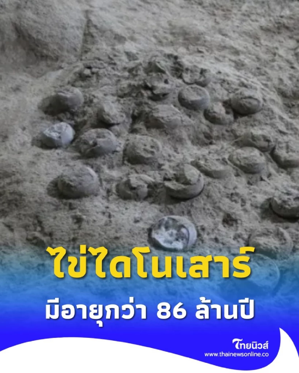 ชี้ชัด ฟอสซิลไข่ไดโนเสาร์ ในจีนกลาง มีอายุเก่าแก่ถึง 86 ล้านปี