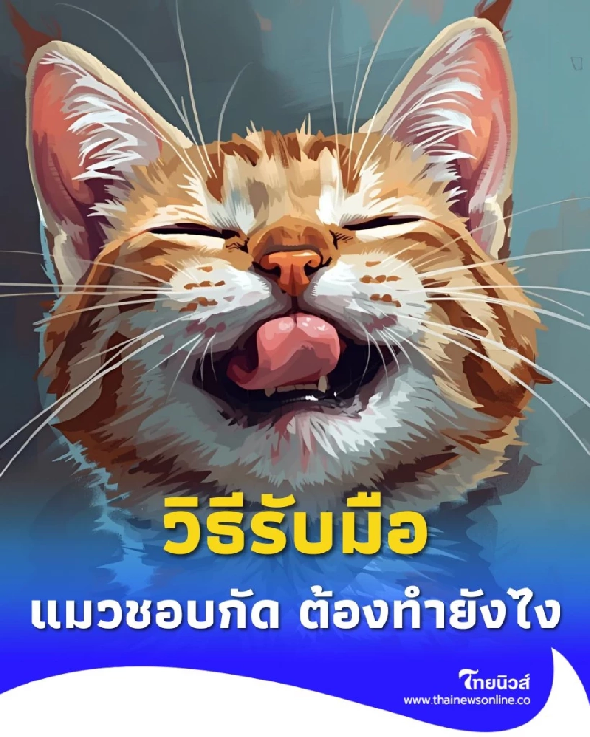 แมวกัด แปลว่าอะไร แยกให้ออกระหว่างรักหรือเกลียดกันแน่