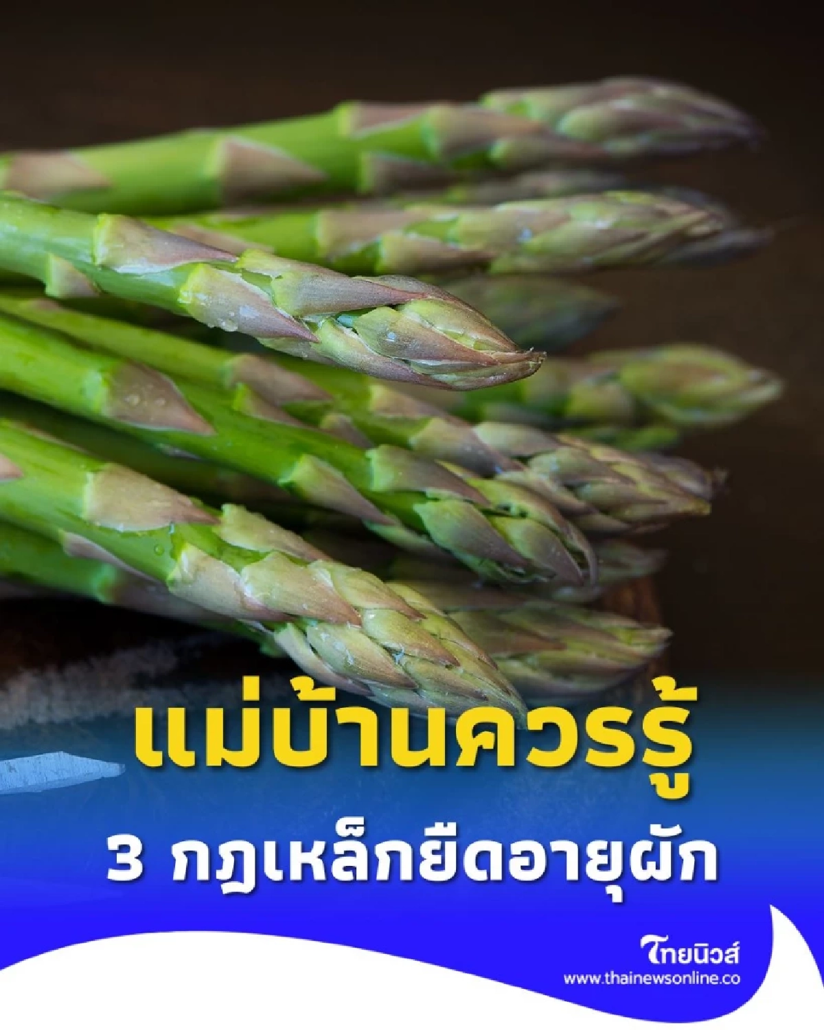 วิธียืดอายุผัก ให้สดนานเป็นสัปดาห์ แม่บ้านควรรู้ 3 กฎเหล็ก
