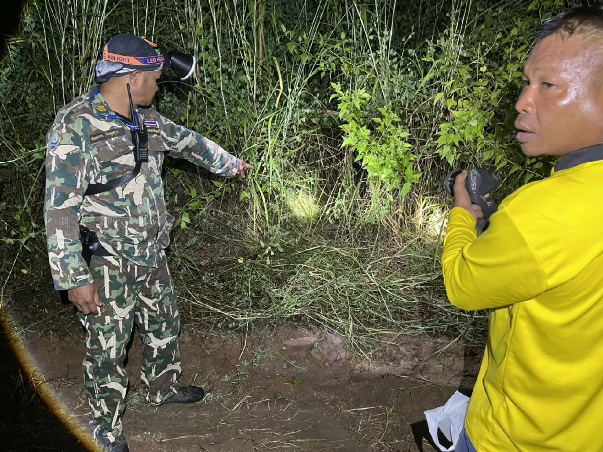 ช้างป่าทำร้ายชายวัย 61 ปี เจ้าหน้าที่ภูกระดึงเร่งเยียวยา