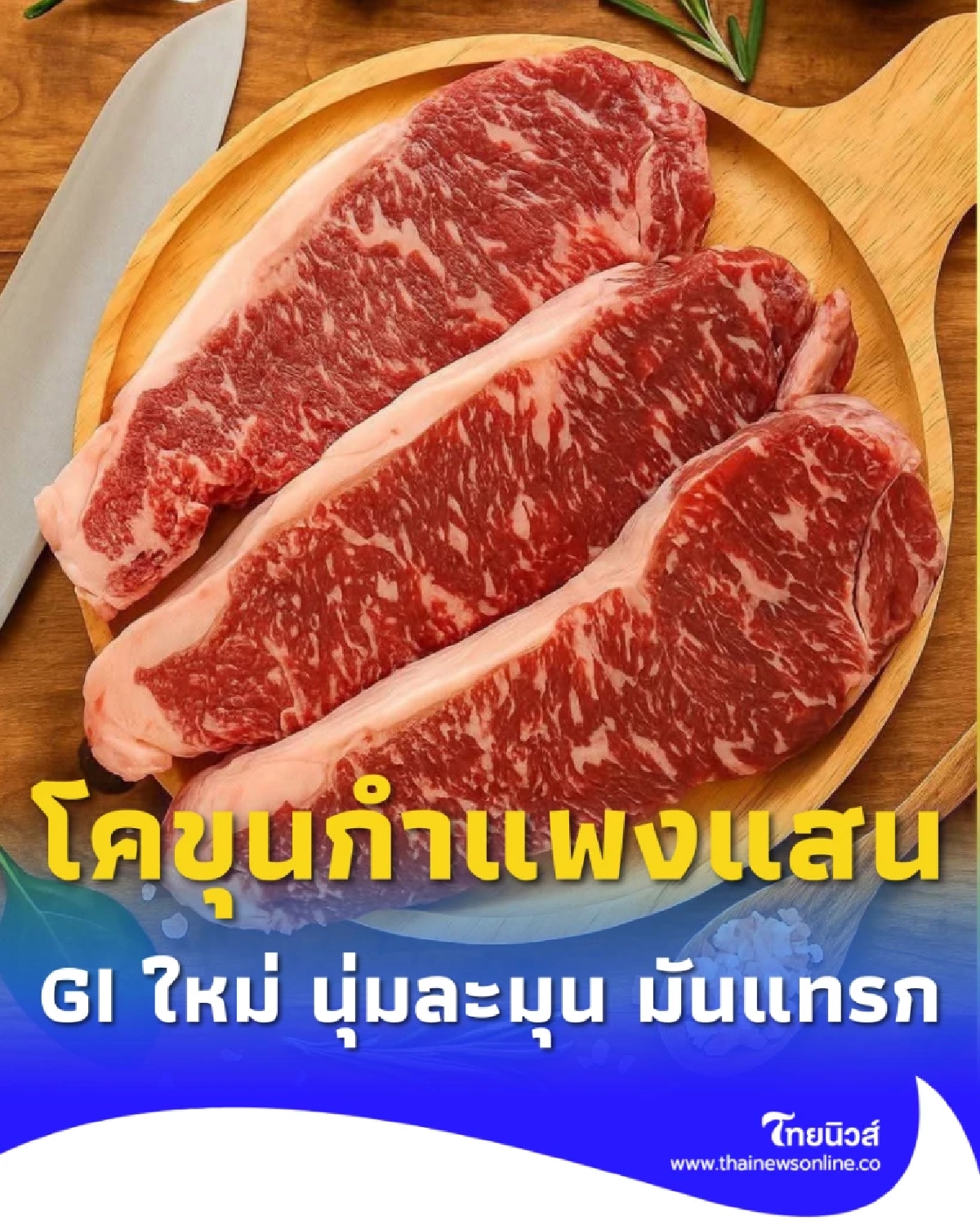 GI ใหม่ เนื้อโคขุนกำแพงแสน แดงสด นุ่มละมุน จากยอดวัว 3 สายพันธุ์