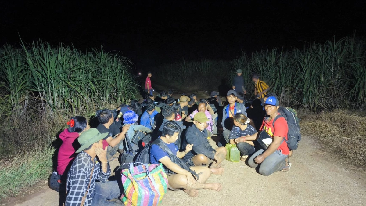 จับแรงงานต่างด้าว 51 ราย กัมพูชา–เมียนมา ซ่อนตัวกลางไร่อ้อย